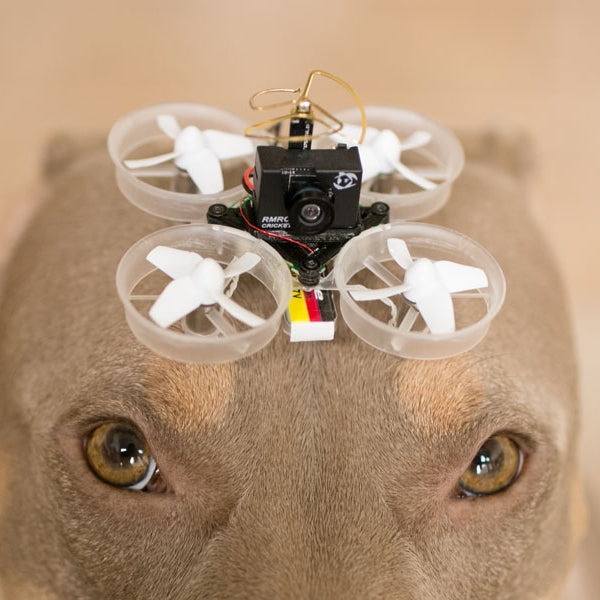 tiny whoop