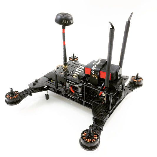 zuul racehound review